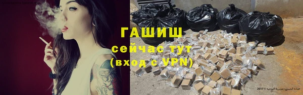 дживик Бородино