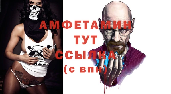 дживик Бронницы