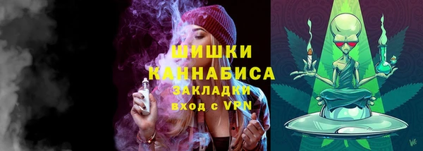 Альфа ПВП Бугульма
