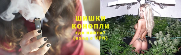 дживик Бородино