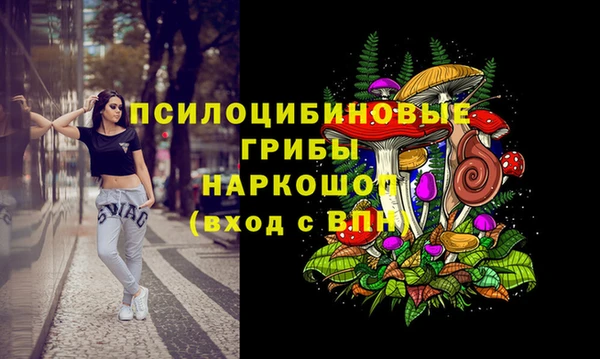 Альфа ПВП Бугульма