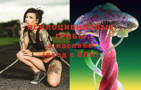 дживик Бронницы