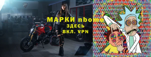 дживик Бородино