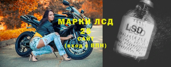 дживик Бородино