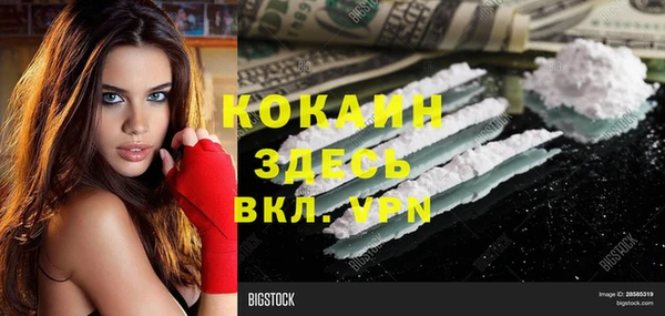 дживик Бородино