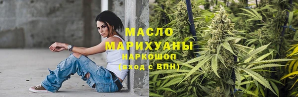 дживик Бородино