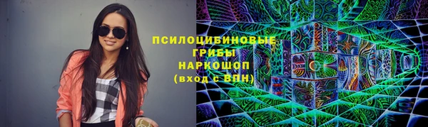 дживик Бронницы