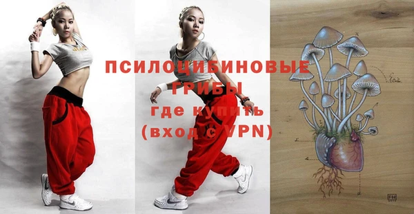 Альфа ПВП Бугульма