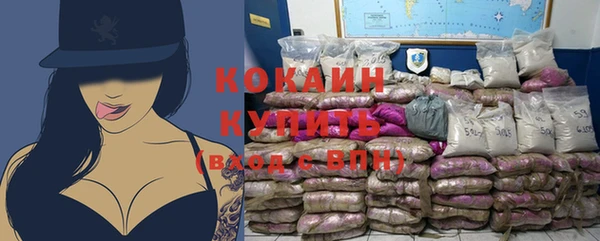 дживик Бородино