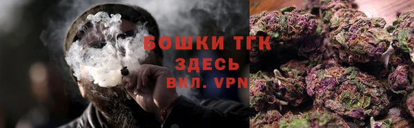 дживик Бородино